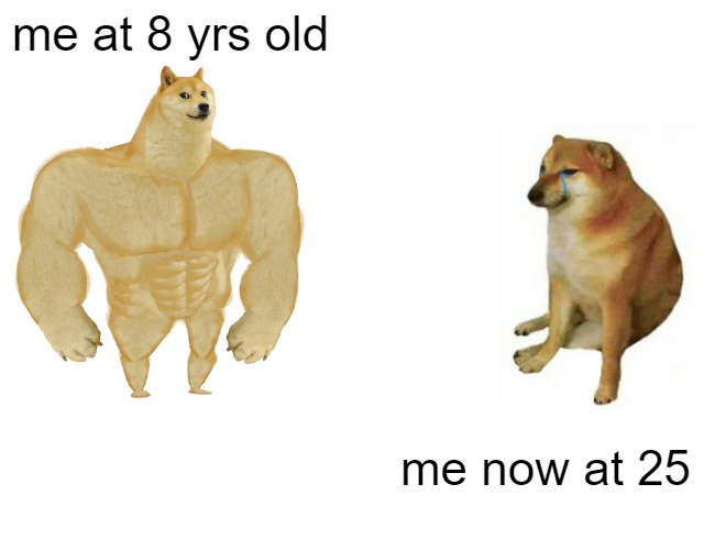 OLD AGE | me at 8 yrs old; me now at 25 | image tagged in memes,buff doge vs cheems | made w/ Imgflip meme maker