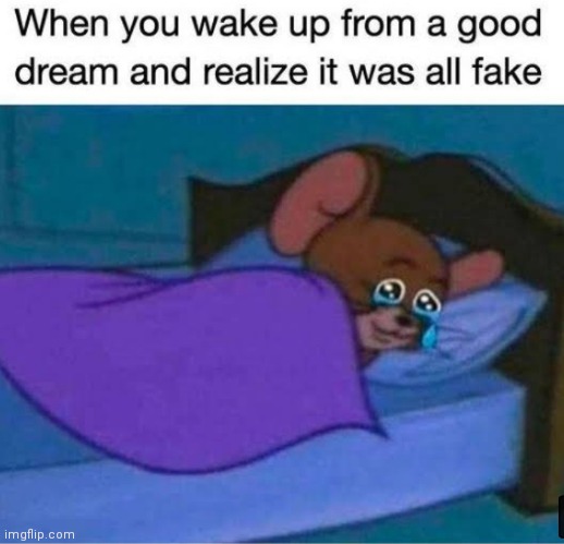 image tagged in memes,jerry sleeping,dreams,fake | made w/ Imgflip meme maker