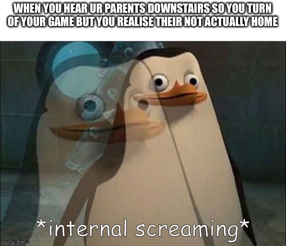 Annoying | WHEN YOU HEAR UR PARENTS DOWNSTAIRS SO YOU TURN OF YOUR GAME BUT YOU REALISE THEIR NOT ACTUALLY HOME | image tagged in private internal screaming | made w/ Imgflip meme maker