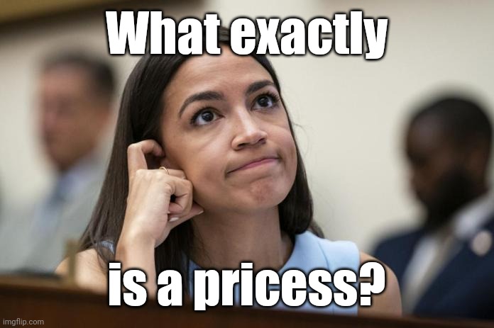 aoc Scratches her empty head | What exactly is a pricess? | image tagged in aoc scratches her empty head | made w/ Imgflip meme maker