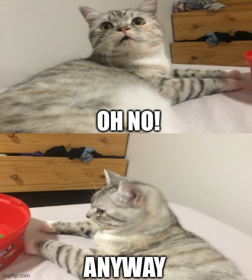 High Quality Cat oh no anyway Blank Meme Template