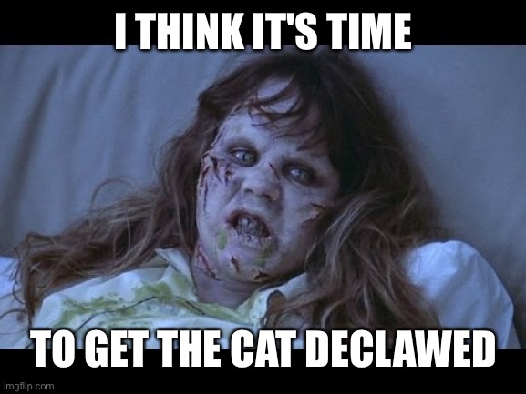 the Exorcist | I THINK IT'S TIME; TO GET THE CAT DECLAWED | image tagged in the exorcist | made w/ Imgflip meme maker