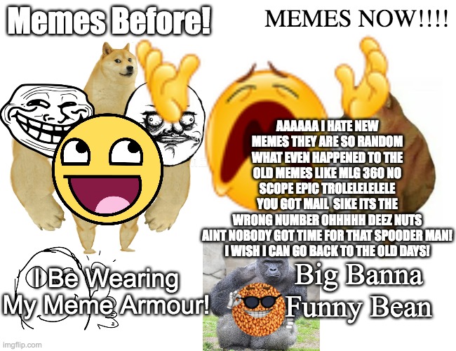 Old Vs New Memes | Memes Before! MEMES NOW!!!! AAAAAA I HATE NEW MEMES THEY ARE SO RANDOM WHAT EVEN HAPPENED TO THE OLD MEMES LIKE MLG 360 NO SCOPE EPIC TROLELELELELE YOU GOT MAIL  SIKE ITS THE WRONG NUMBER OHHHHH DEEZ NUTS
 AINT NOBODY GOT TIME FOR THAT SPOODER MAN! 
I WISH I CAN GO BACK TO THE OLD DAYS! Big Banna Funny Bean; I Be Wearing My Meme Armour! | image tagged in memes,buff doge vs cheems,funny,imgflip,satire,cringe | made w/ Imgflip meme maker