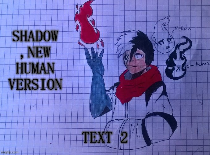 Shadow (human version (new)) | SHADOW ,NEW HUMAN VERSION; TEXT 2 | image tagged in shadow human version new | made w/ Imgflip meme maker