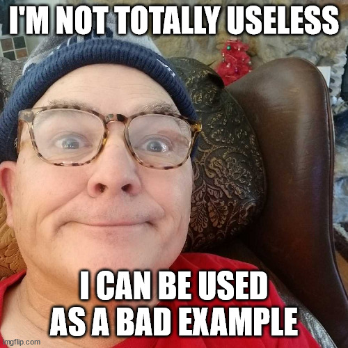 Durl Earl | I'M NOT TOTALLY USELESS; I CAN BE USED AS A BAD EXAMPLE | image tagged in durl earl | made w/ Imgflip meme maker