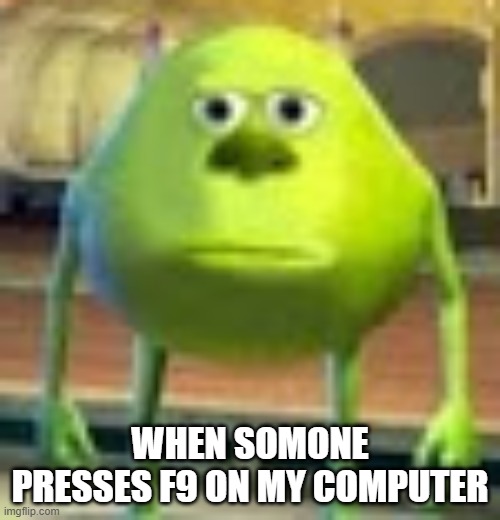 me irl | WHEN SOMONE PRESSES F9 ON MY COMPUTER | image tagged in sully wazowski | made w/ Imgflip meme maker