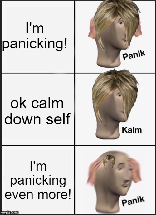 panik | I'm panicking! ok calm down self; I'm panicking even more! | image tagged in memes,panik kalm panik,funy,funny,fn,fun | made w/ Imgflip meme maker