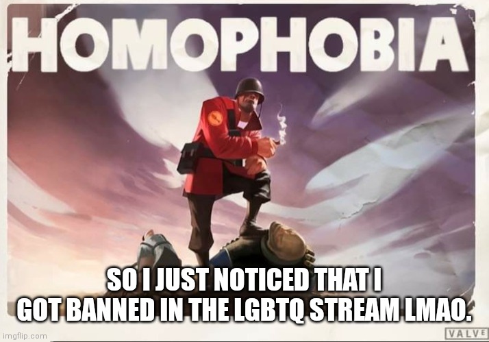 perma ban | SO I JUST NOTICED THAT I GOT BANNED IN THE LGBTQ STREAM LMAO. | image tagged in soldier tf2 homophobia | made w/ Imgflip meme maker