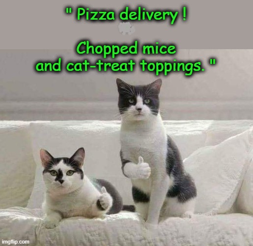 Pizza delivery ! | " Pizza delivery !
*
Chopped mice
and cat-treat toppings. " | image tagged in cat memes | made w/ Imgflip meme maker