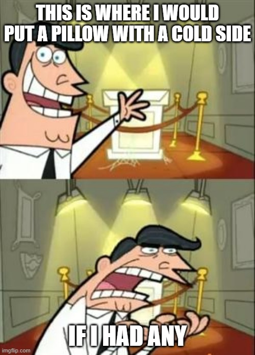 free epic burnet | THIS IS WHERE I WOULD PUT A PILLOW WITH A COLD SIDE; IF I HAD ANY | image tagged in memes,this is where i'd put my trophy if i had one | made w/ Imgflip meme maker