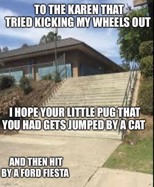 I couldn’t figure out how to insert my own image can someone help me in the comments please | TO THE KAREN THAT TRIED KICKING MY WHEELS OUT; I HOPE YOUR LITTLE PUG THAT YOU HAD GETS JUMPED BY A CAT; AND THEN HIT BY A FORD FIESTA | made w/ Imgflip meme maker