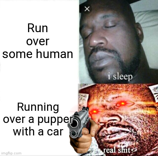True | Run over some human; Running over a pupper with a car | image tagged in memes,sleeping shaq | made w/ Imgflip meme maker