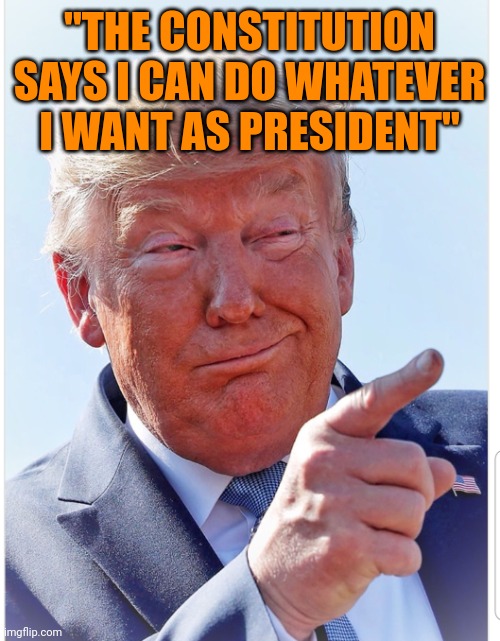 Except hanging his VP apparently and reinstating himself | "THE CONSTITUTION SAYS I CAN DO WHATEVER I WANT AS PRESIDENT" | image tagged in trump pointing | made w/ Imgflip meme maker