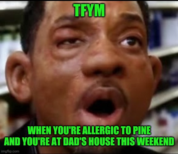Allergy | TFYM WHEN YOU'RE ALLERGIC TO PINE AND YOU'RE AT DAD'S HOUSE THIS WEEKEND | image tagged in allergy | made w/ Imgflip meme maker