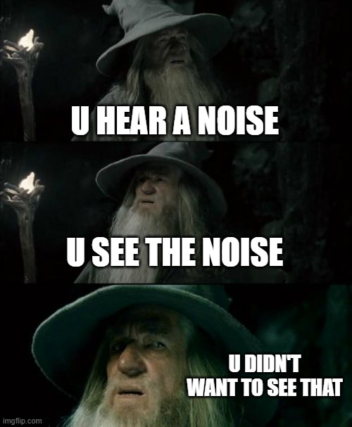 Confused Gandalf Meme | U HEAR A NOISE; U SEE THE NOISE; U DIDN'T WANT TO SEE THAT | image tagged in memes,confused gandalf | made w/ Imgflip meme maker