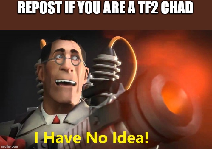 i have no idea [medic version] | REPOST IF YOU ARE A TF2 CHAD | image tagged in i have no idea medic version | made w/ Imgflip meme maker