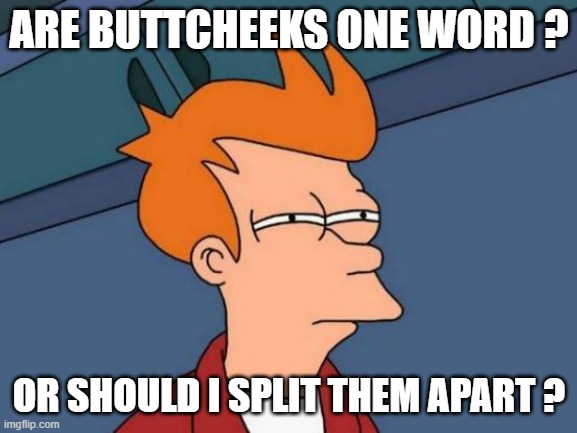 Futurama Fry Meme | ARE BUTTCHEEKS ONE WORD ? OR SHOULD I SPLIT THEM APART ? | image tagged in memes,futurama fry | made w/ Imgflip meme maker