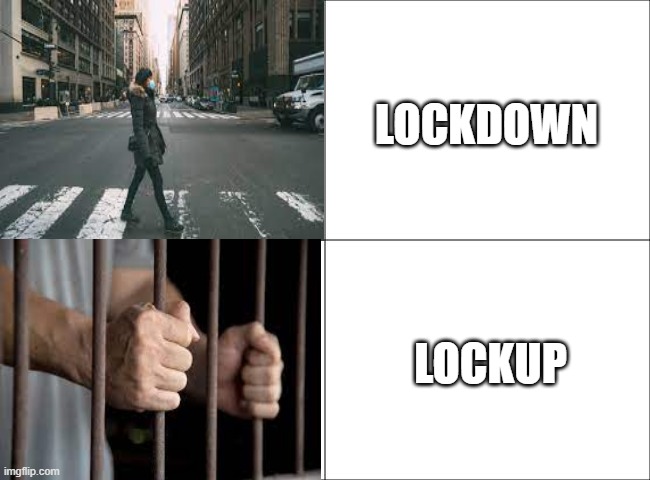 Le lockup | LOCKDOWN; LOCKUP | image tagged in 4 panel comic | made w/ Imgflip meme maker