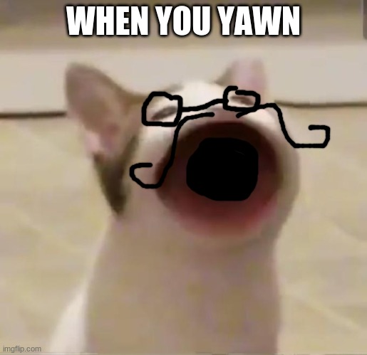 Pop Cat | WHEN YOU YAWN | image tagged in pop cat | made w/ Imgflip meme maker