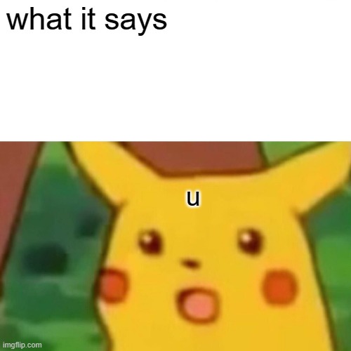 Surprised Pikachu Meme | what it says u | image tagged in memes,surprised pikachu | made w/ Imgflip meme maker