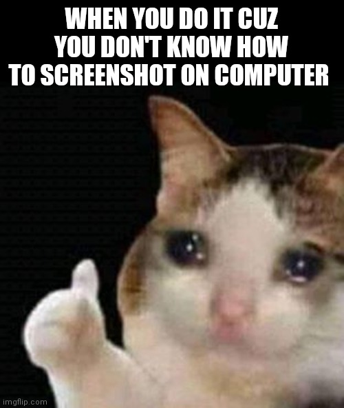 sad thumbs up cat | WHEN YOU DO IT CUZ YOU DON'T KNOW HOW TO SCREENSHOT ON COMPUTER | image tagged in sad thumbs up cat | made w/ Imgflip meme maker