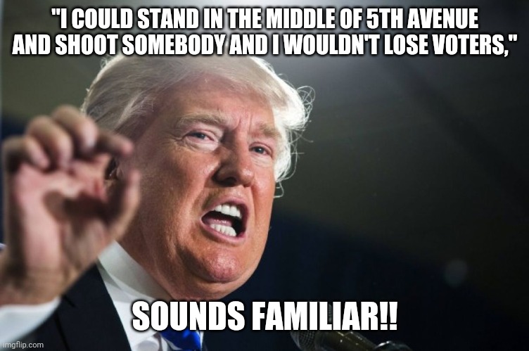 donald trump | "I COULD STAND IN THE MIDDLE OF 5TH AVENUE AND SHOOT SOMEBODY AND I WOULDN'T LOSE VOTERS," SOUNDS FAMILIAR!! | image tagged in donald trump | made w/ Imgflip meme maker