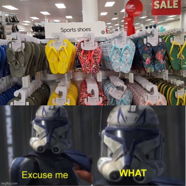 But they’re flip-flops! | image tagged in excuse me what,memes,funny,you had one job,and you failed,miserably | made w/ Imgflip meme maker