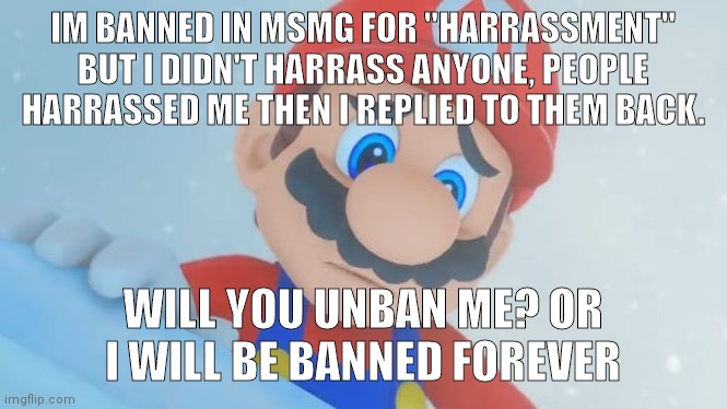 Unban mee | IM BANNED IN MSMG FOR "HARRASSMENT" BUT I DIDN'T HARRASS ANYONE, PEOPLE HARRASSED ME THEN I REPLIED TO THEM BACK. WILL YOU UNBAN ME? OR I WILL BE BANNED FOREVER | image tagged in disappointed mario | made w/ Imgflip meme maker