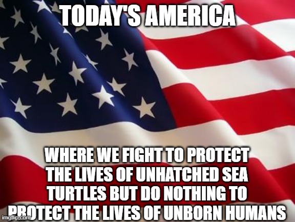 The Forgotten babies | TODAY'S AMERICA; WHERE WE FIGHT TO PROTECT THE LIVES OF UNHATCHED SEA TURTLES BUT DO NOTHING TO PROTECT THE LIVES OF UNBORN HUMANS | image tagged in american flag | made w/ Imgflip meme maker