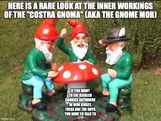 Gnome Mob | HERE IS A RARE LOOK AT THE INNER WORKINGS OF THE "COSTRA GNOMA" (AKA THE GNOME MOB); IF YOU WANT TO EAT KEEBLER COOKIES ANYWHERE IN NEW JERSEY, THESE ARE THE GUYS YOU HAVE TO TALK TO | image tagged in gnome,memes | made w/ Imgflip meme maker