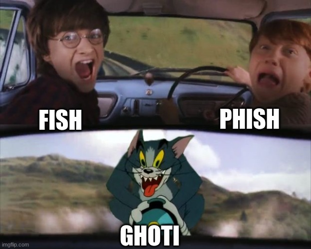 Tom chasing Harry and Ron Weasly | PHISH; FISH; GHOTI | image tagged in tom chasing harry and ron weasly | made w/ Imgflip meme maker