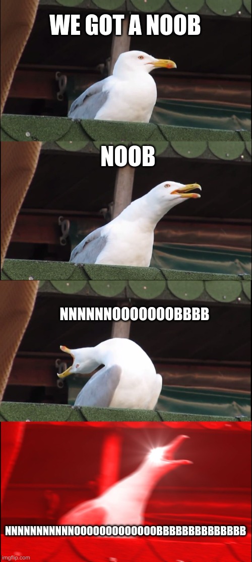 liget EVERY GAMER BE LIKE | WE GOT A NOOB; NOOB; NNNNNNOOOOOOOBBBB; NNNNNNNNNNNOOOOOOOOOOOOOBBBBBBBBBBBBBB | image tagged in memes,inhaling seagull | made w/ Imgflip meme maker