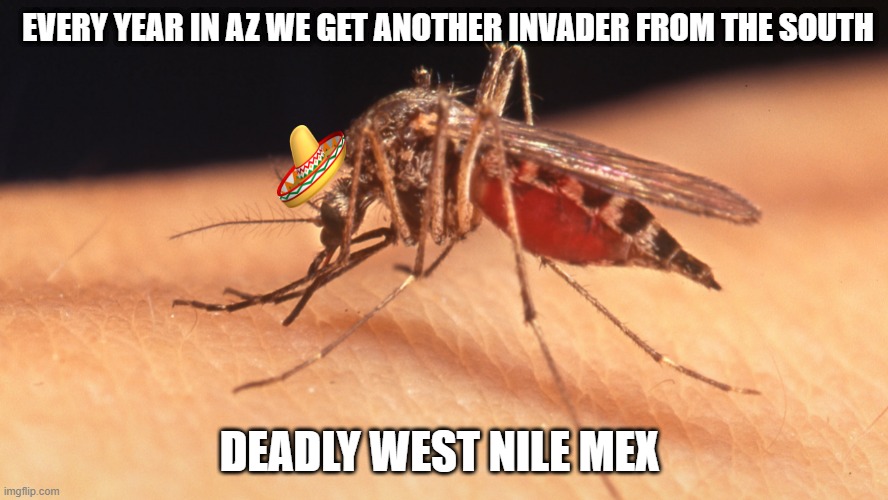 INVADERS | EVERY YEAR IN AZ WE GET ANOTHER INVADER FROM THE SOUTH; DEADLY WEST NILE MEX | image tagged in mexican | made w/ Imgflip meme maker