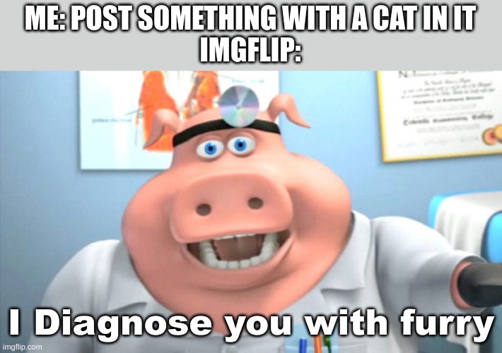I Diagnose You With Dead | ME: POST SOMETHING WITH A CAT IN IT
IMGFLIP:; I Diagnose you with furry | image tagged in i diagnose you with dead,memes,furries | made w/ Imgflip meme maker