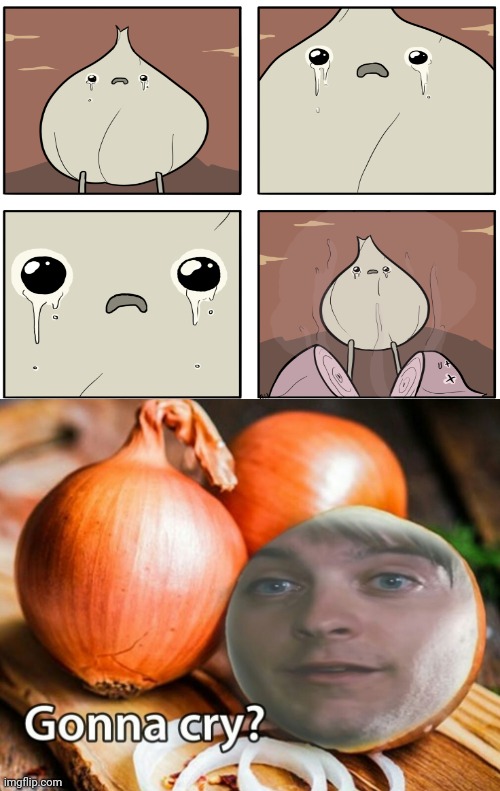 Onion crying | image tagged in gonna cry onion,onions,onion,comics/cartoons,comics,memes | made w/ Imgflip meme maker