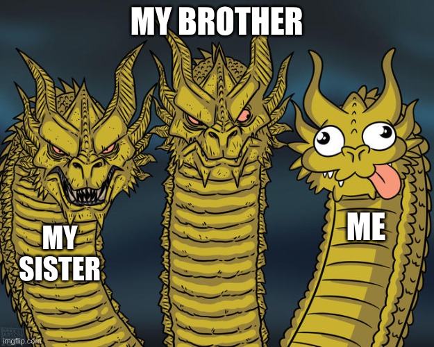 my sibling | MY BROTHER; ME; MY SISTER | image tagged in three-headed dragon | made w/ Imgflip meme maker