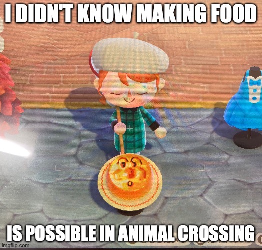 Food in Animal Crossing | I DIDN'T KNOW MAKING FOOD; IS POSSIBLE IN ANIMAL CROSSING | image tagged in gaming,animal crossing,memes | made w/ Imgflip meme maker