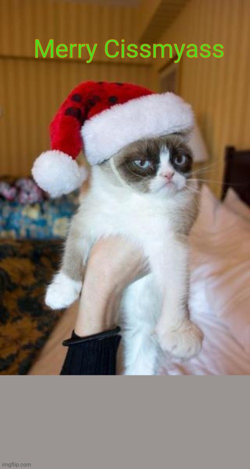 Grumpy Cat Christmas |  Merry Cissmyass | image tagged in memes,grumpy cat christmas,grumpy cat | made w/ Imgflip meme maker