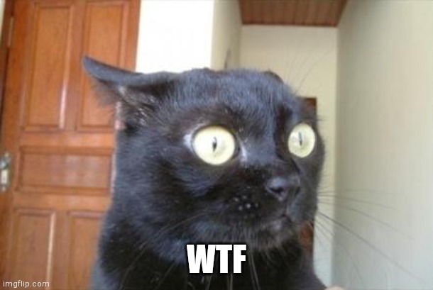Cannot Be Unseen Cat | WTF | image tagged in cannot be unseen cat | made w/ Imgflip meme maker
