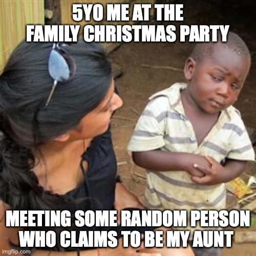 so youre telling me | 5Y0 ME AT THE FAMILY CHRISTMAS PARTY; MEETING SOME RANDOM PERSON WHO CLAIMS TO BE MY AUNT | image tagged in so youre telling me,christmas | made w/ Imgflip meme maker