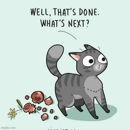 A Cat's Way Of Thinking | image tagged in memes,comics,cats,done,your next task is to-,nothing to see here | made w/ Imgflip meme maker