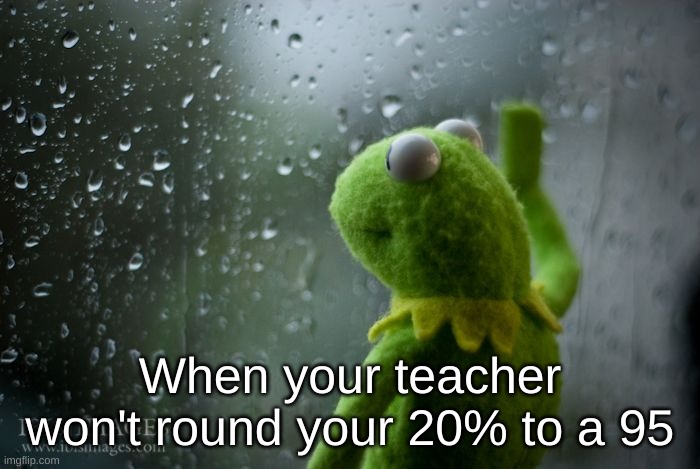 kermit window | When your teacher won't round your 20% to a 95 | image tagged in kermit window | made w/ Imgflip meme maker