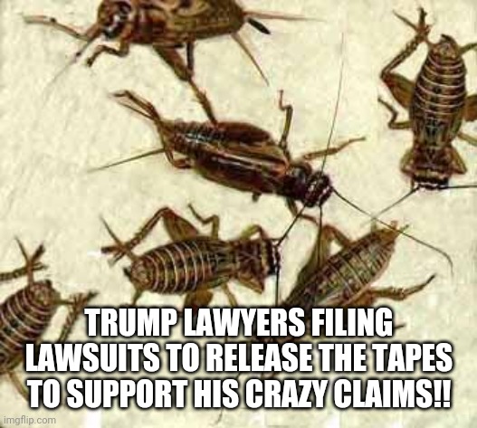 Crickets | TRUMP LAWYERS FILING LAWSUITS TO RELEASE THE TAPES TO SUPPORT HIS CRAZY CLAIMS!! | image tagged in crickets | made w/ Imgflip meme maker