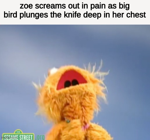 zoe screams out in pain as big bird plunges the knife deep in her chest | image tagged in memes,jack sparrow being chased | made w/ Imgflip meme maker