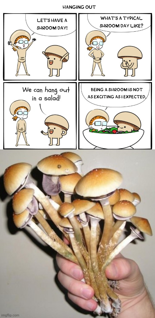 Hanging out | image tagged in magic mushrooms,mushrooms,shrooms,comics/cartoons,comics,memes | made w/ Imgflip meme maker