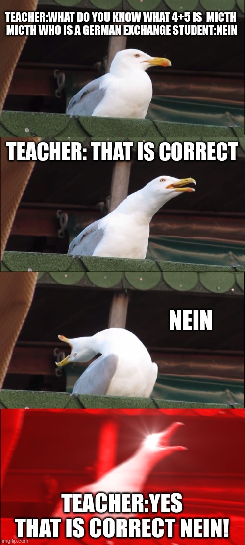 nein is no in German | TEACHER:WHAT DO YOU KNOW WHAT 4+5 IS  MICTH 
MICTH WHO IS A GERMAN EXCHANGE STUDENT:NEIN; TEACHER: THAT IS CORRECT; NEIN; TEACHER:YES THAT IS CORRECT NEIN! | image tagged in memes,inhaling seagull | made w/ Imgflip meme maker