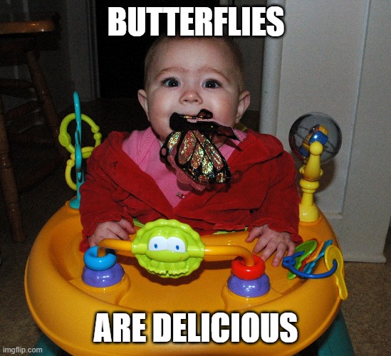 BUTTERFLIES ARE DELICIOUS | made w/ Imgflip meme maker