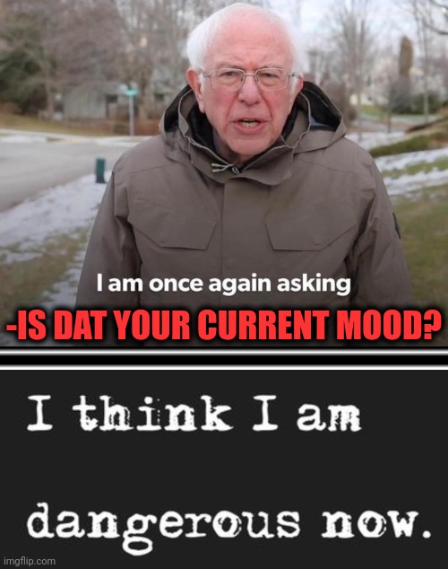 -IS DAT YOUR CURRENT MOOD? | image tagged in memes,bernie i am once again asking for your support | made w/ Imgflip meme maker