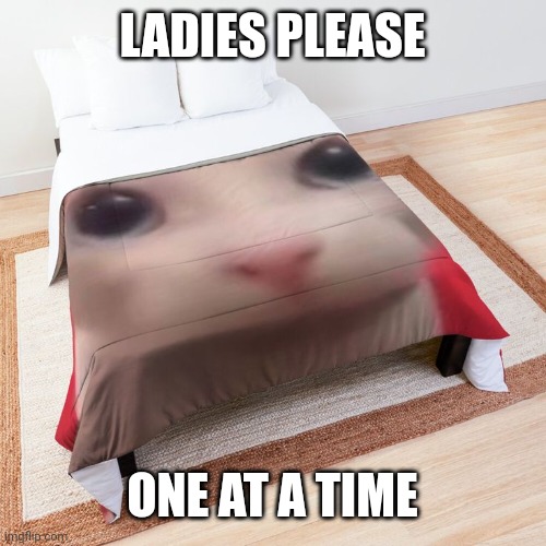 LADIES PLEASE; ONE AT A TIME | made w/ Imgflip meme maker