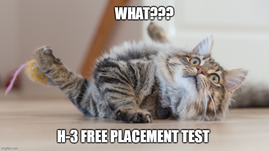 WHAT? | WHAT??? H-3 FREE PLACEMENT TEST | image tagged in memes,cat,suprised | made w/ Imgflip meme maker